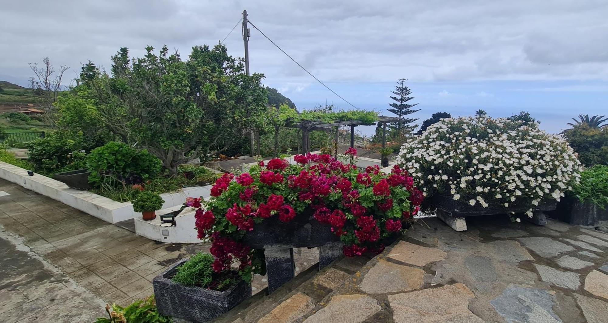 Vivienda Vacacional Finca Monterrey Mazo 客房 照片